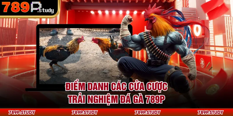 Điểm danh các cửa cược trải nghiệm đá gà 789P